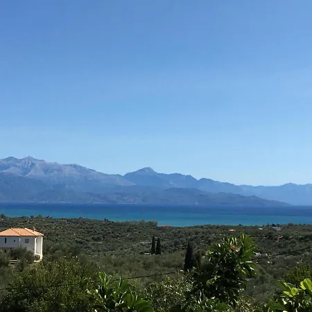 View * Karpofora