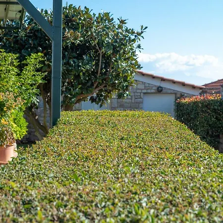 View بيت للعطل *